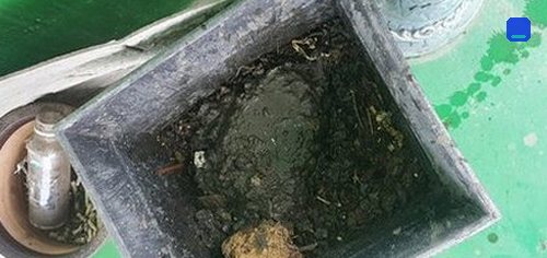 청주 · 상담 후 방문 작업 고객 글 사진